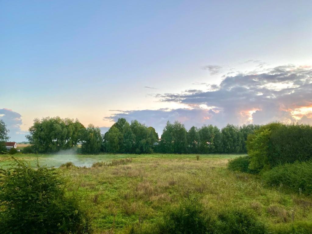 Natuurhuis Zeeuwse Rust Voor Wandelingen Aan Zee, Fietstochten In Natuur En Culinair Genieten Villa IJzendijke Ngoại thất bức ảnh