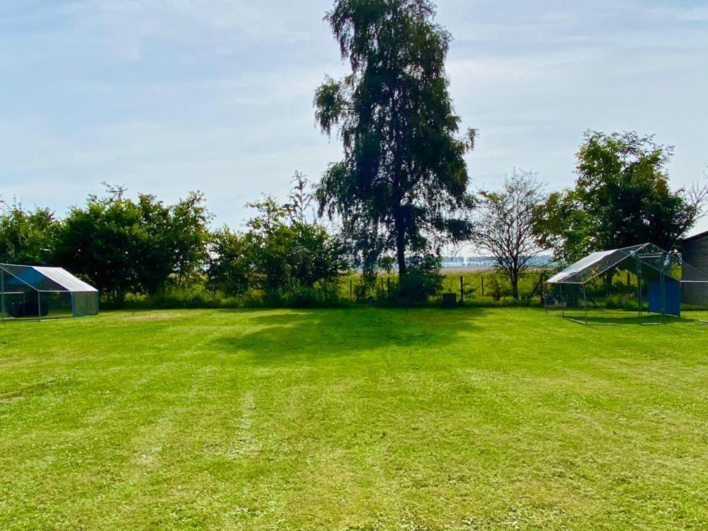 Natuurhuis Zeeuwse Rust Voor Wandelingen Aan Zee, Fietstochten In Natuur En Culinair Genieten Villa IJzendijke Ngoại thất bức ảnh